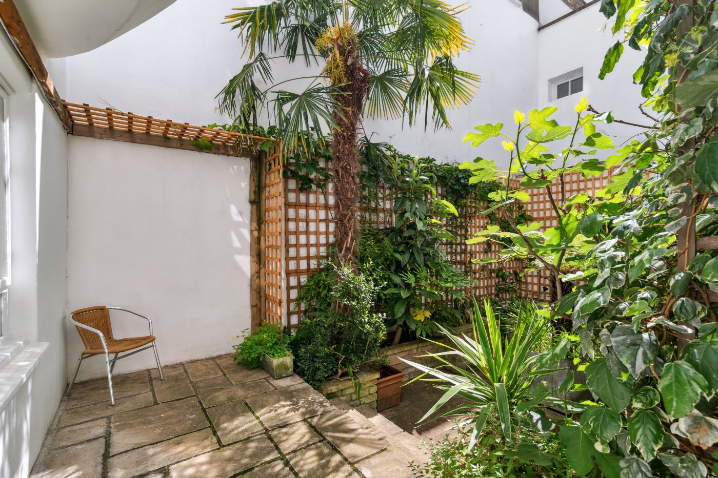 Urban Oasis